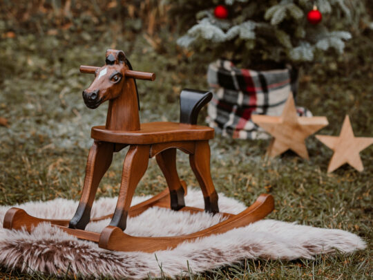 Koník Čenda 28 připravený pod Vánočním stromem.